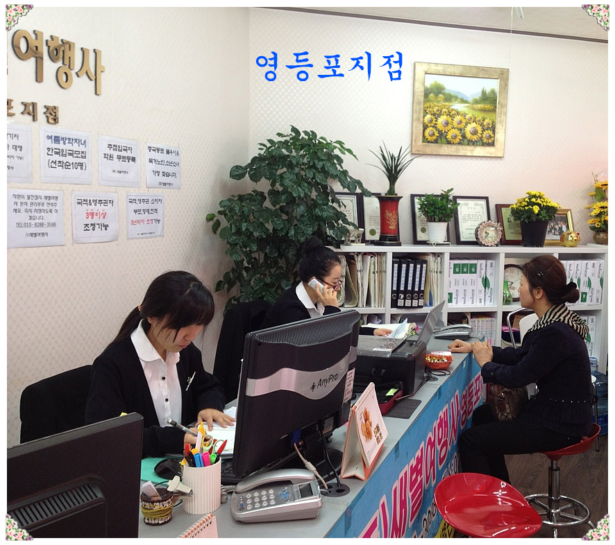 새별여행사 이미지