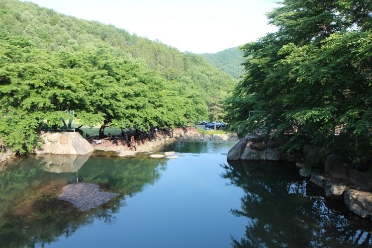 보성오토 이미지