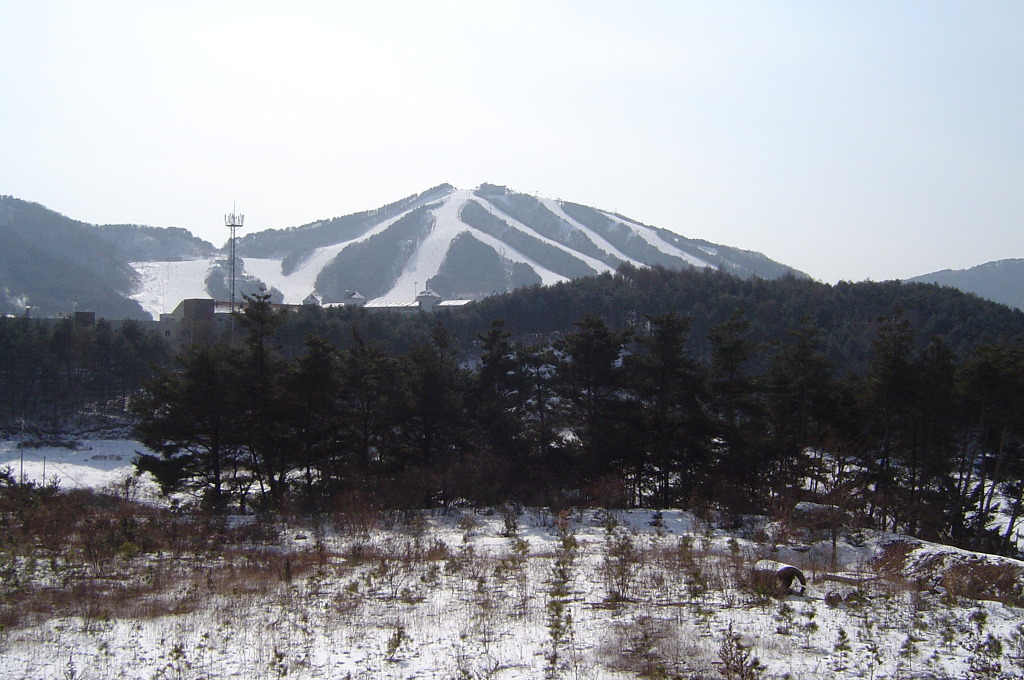 성우토목 이미지
