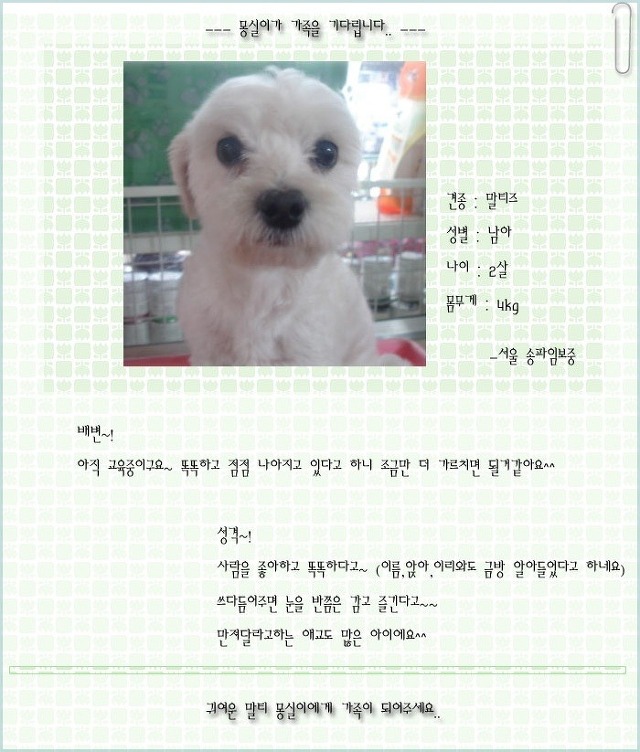 몽실이 이미지