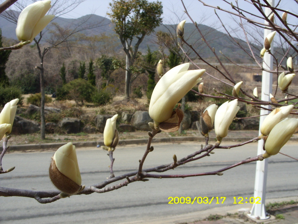섬지기 이미지
