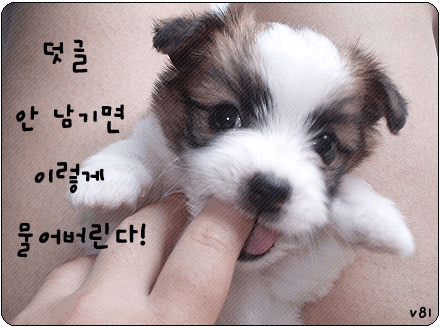 온다함 이미지