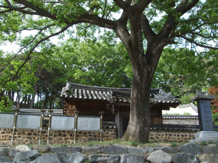 순창꽃 이미지