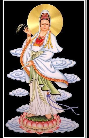 석 정 관 이미지
