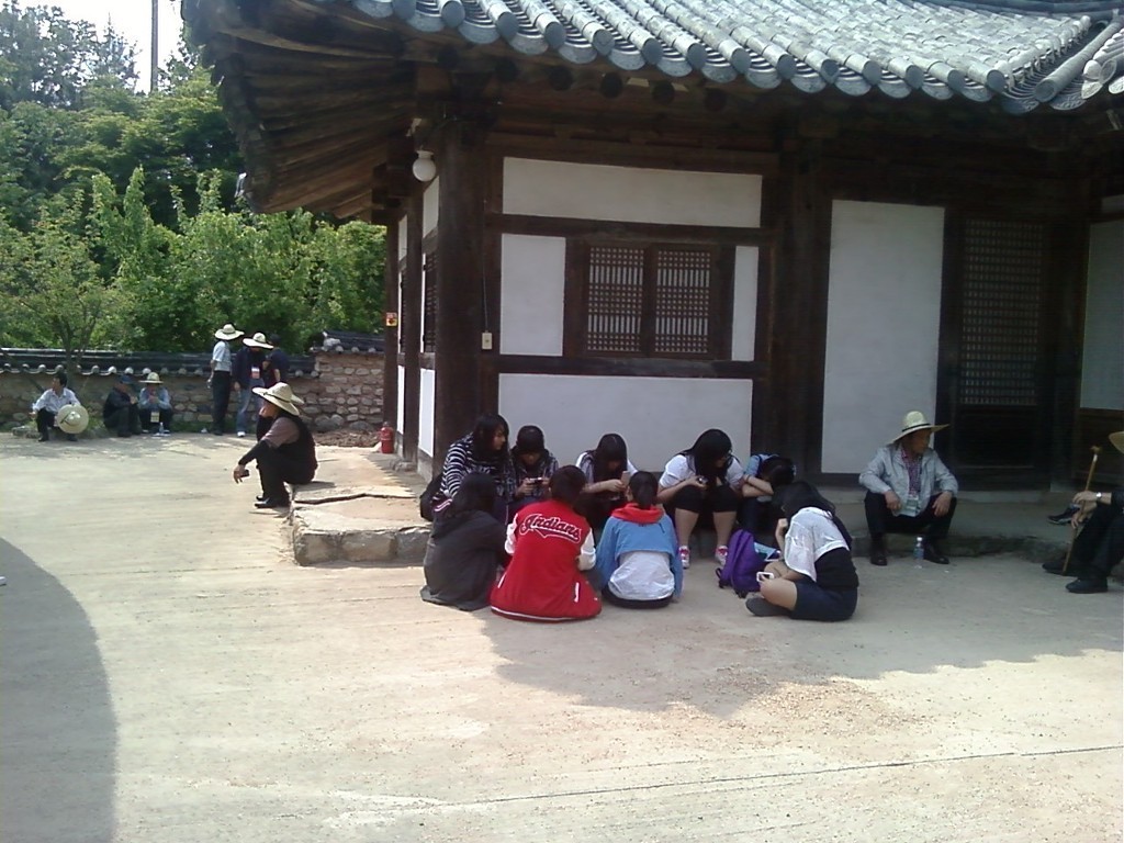 경북잔디 이미지
