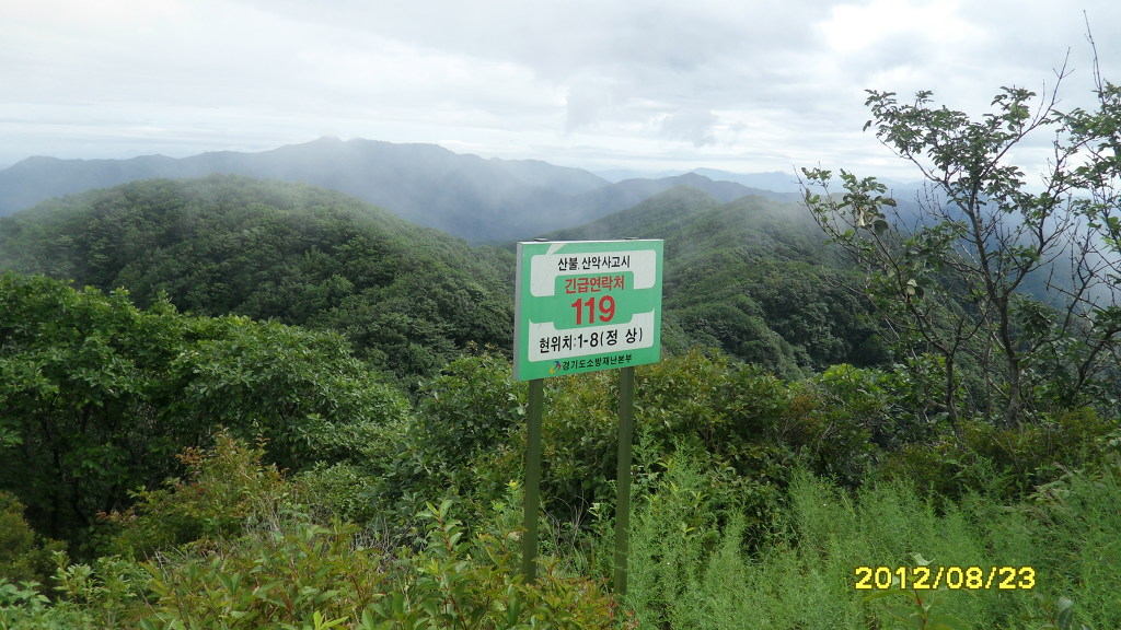 야생화세상 이미지