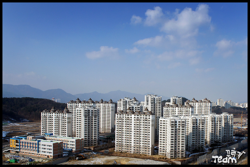 엘드라곤 이미지