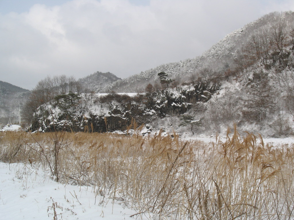 송하 이미지