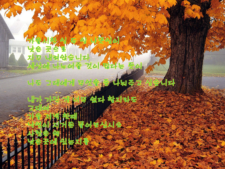 이화성 이미지