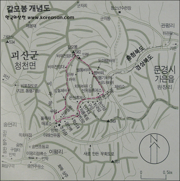 푸른솔과일 이미지