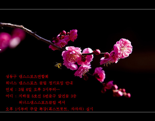스포츠위너스 이미지