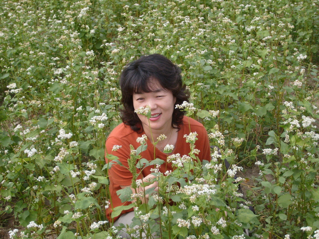 쥬디첼리 이미지