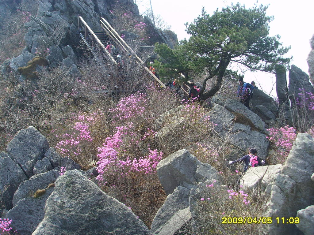 계룡산 경관 이미지