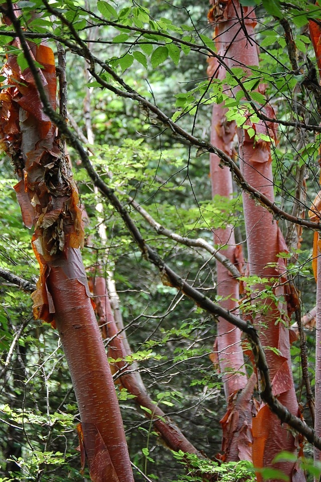 진산종합환경 이미지
