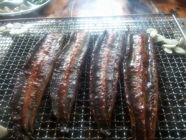 바다장어마을 이미지