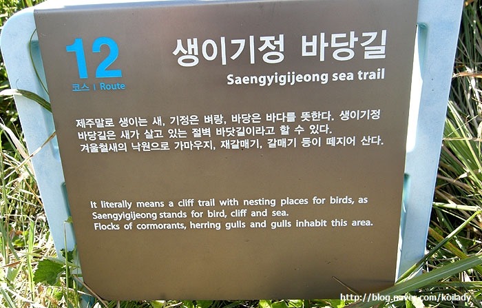 바당길 이미지