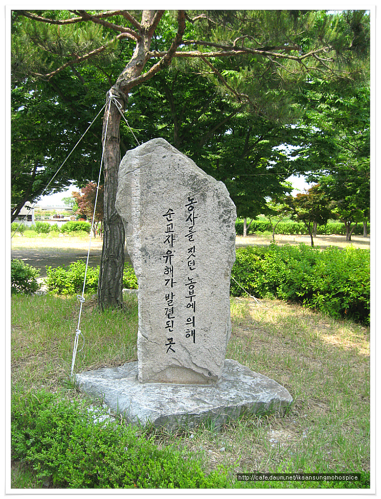 익산성모병원 이미지
