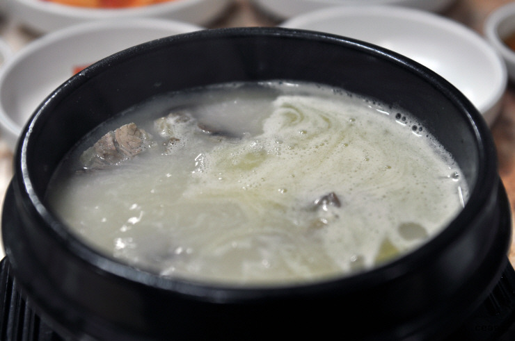 꼬리집 이미지