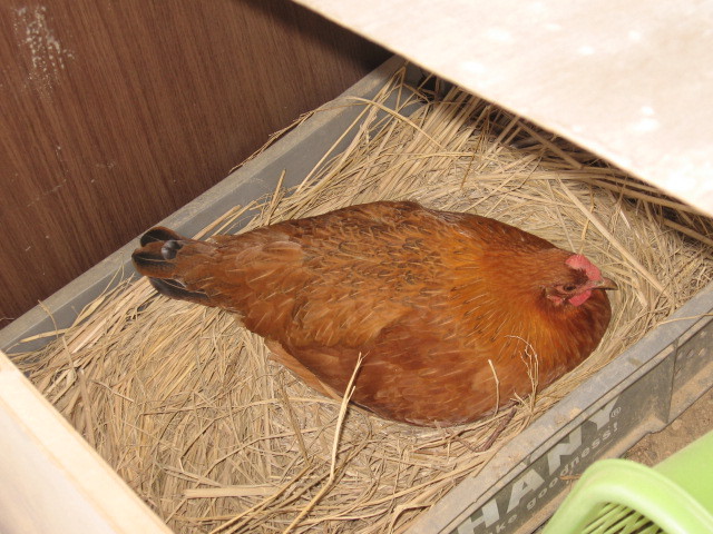 세심 이미지