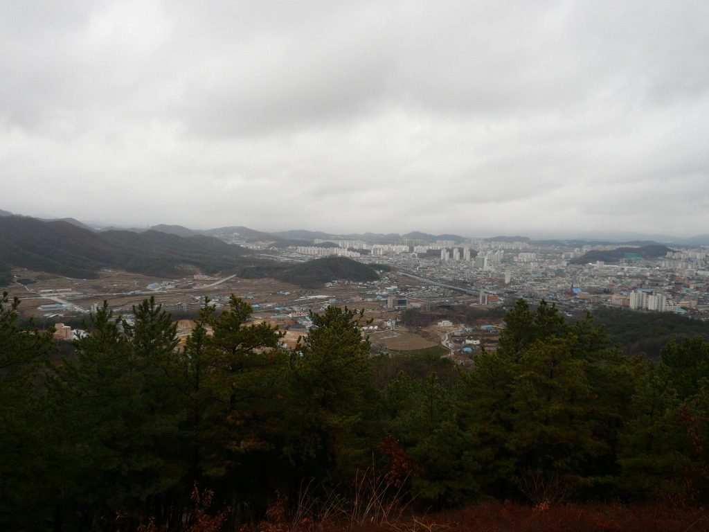 조*태1 이미지