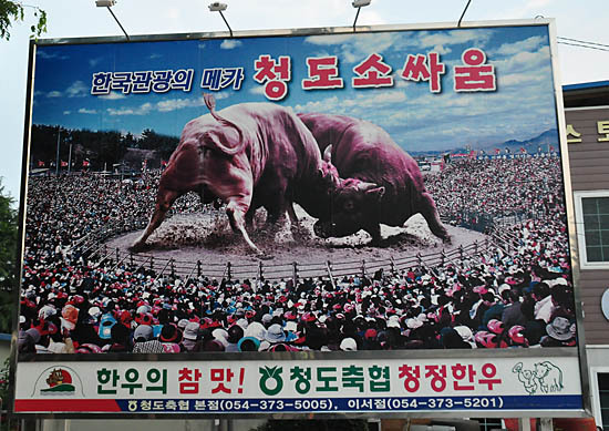 청도추어탕 이미지
