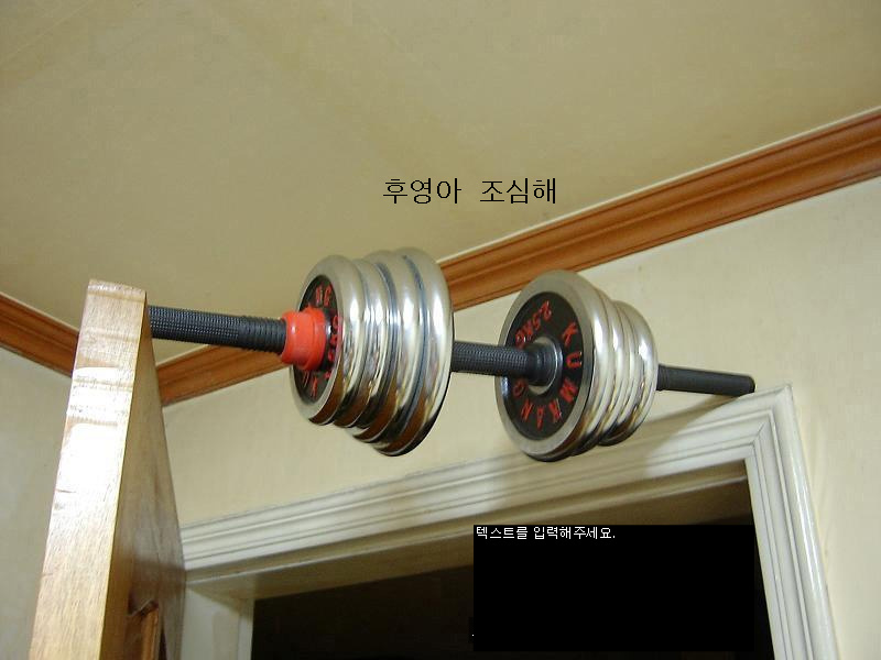 후영 이미지