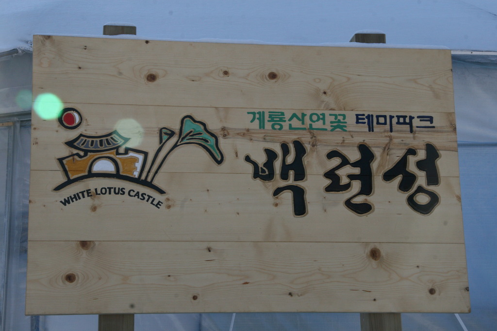 박수현주식회사 이미지