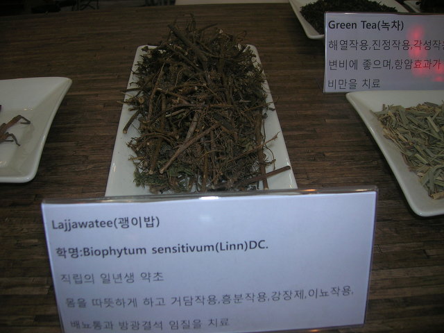 바이오스케치 이미지