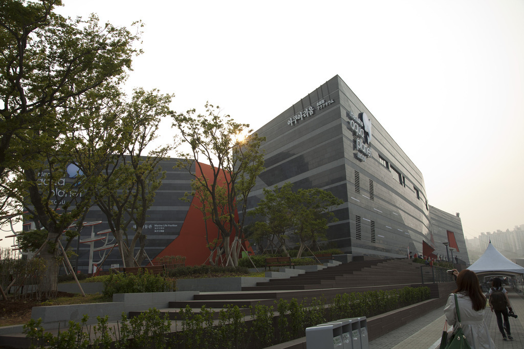 엑스포 이미지