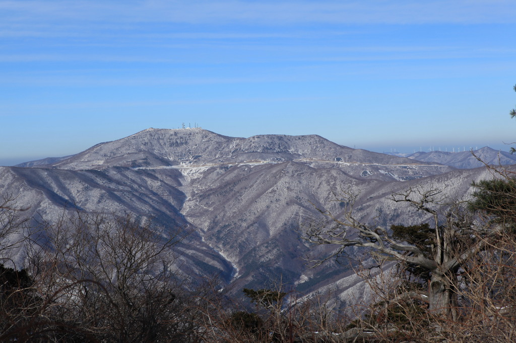 유일사 이미지