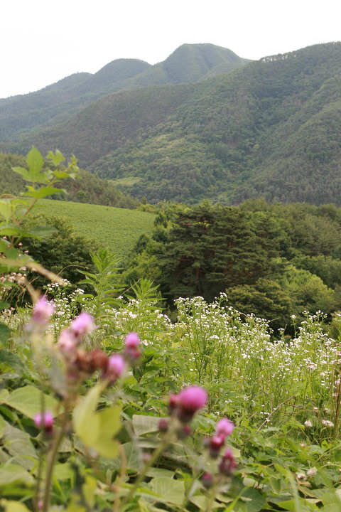 산마실 이미지