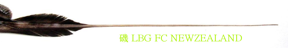 19304C5A4D4ECD0202AB51