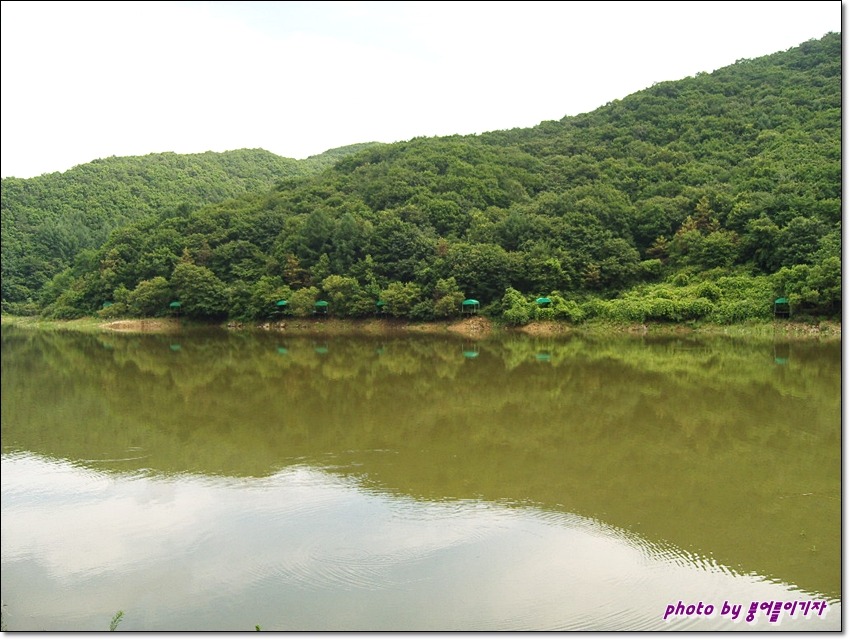 산천초목 이미지