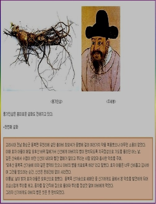 중앙인삼영농조합법인 이미지