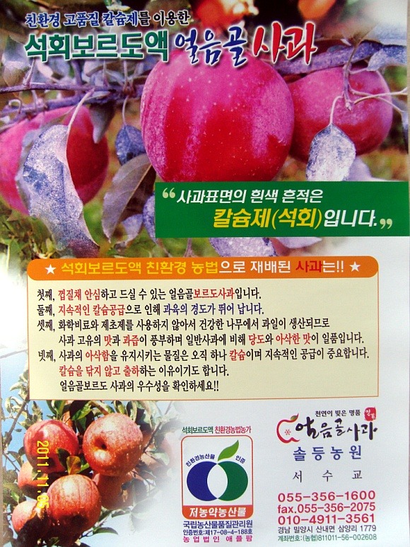 얼음골사과 이미지