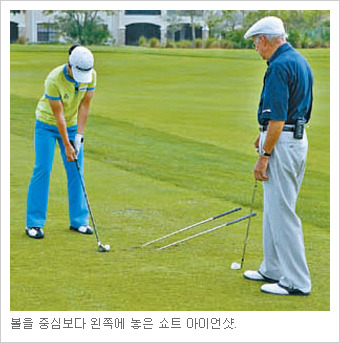 아이언 이미지