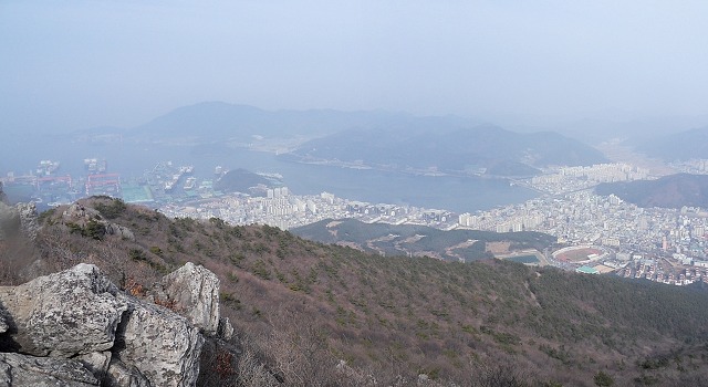 장진주유소 이미지