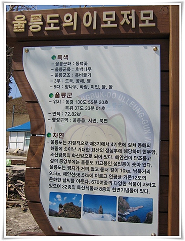 울릉도드림 이미지