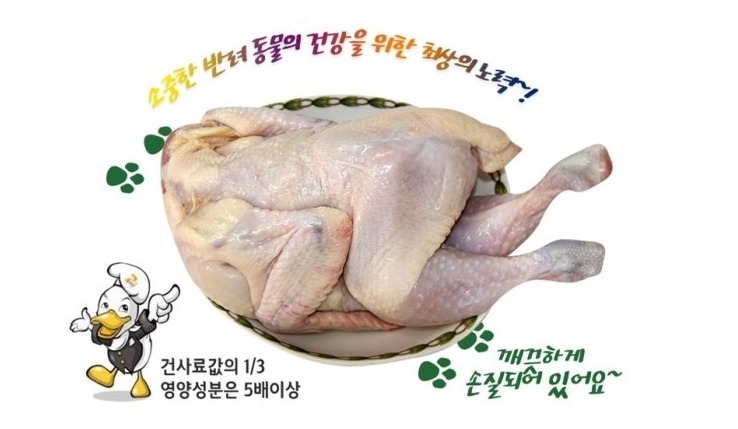 오리판매 이미지