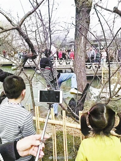20대 남성에게 짓밟힌 알 보며 목 놓아우는 흑조 | 인스티즈