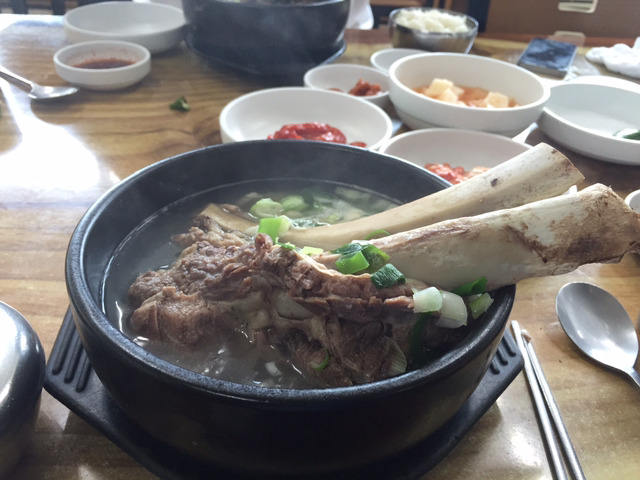 제주도 나홀로 여행객들을 위한 밥집(해장국 위주) | 인스티즈