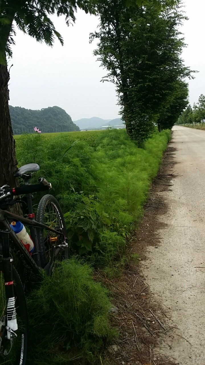 딱조은날 이미지