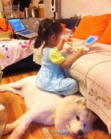 참 이미지