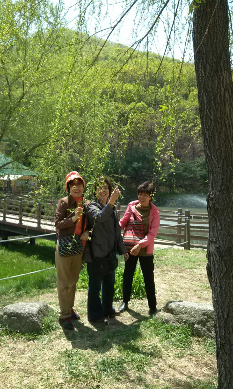 미류 이미지