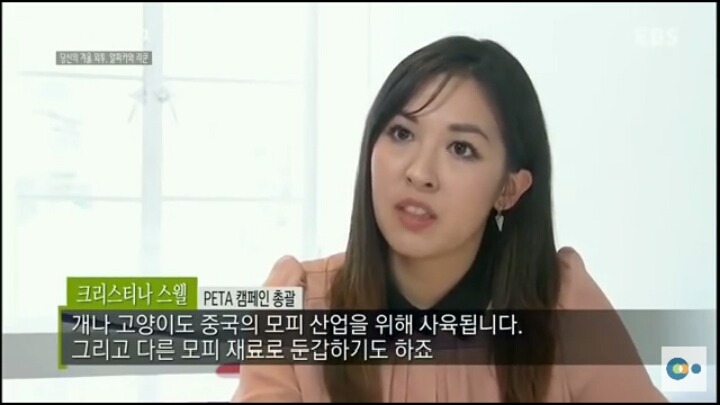 당신이 입고있는 따뜻한 겨울외투의 진실 (동물피 주의) | 인스티즈