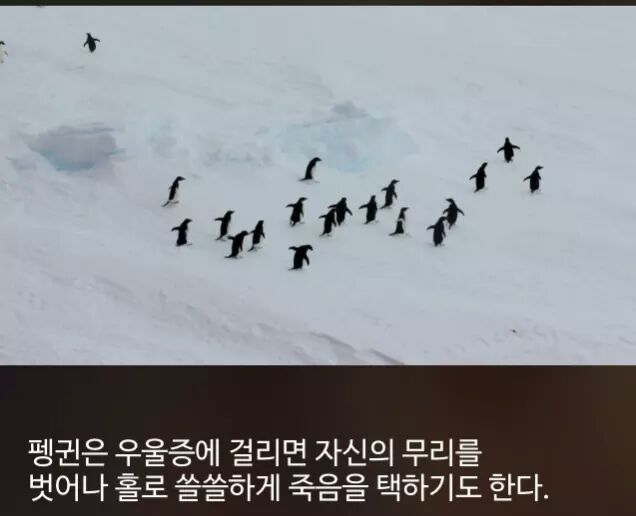 신기한 사실들 | 인스티즈