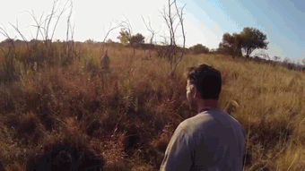 호랑이굴에들어가도 꽃가마타고나올듯한 남자 ㅇㅂㅇ | 인스티즈