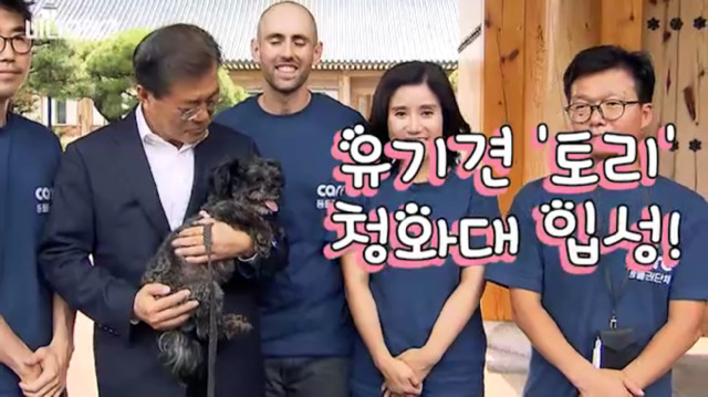 토리가 새마약방석이 맘에 들었나보다(영상） | 인스티즈