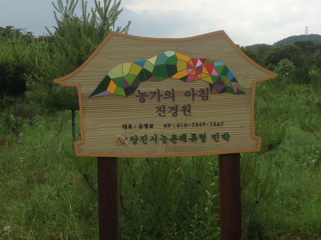 진경원민박캠핑장 이미지