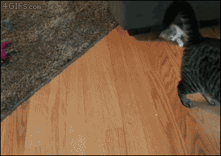 공격-은폐-결정타.gif | 인스티즈